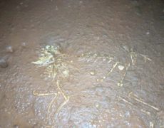 IMG_20200215_130846_8