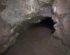 IMG_20200215_131709_3