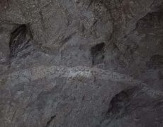 IMG_20200828_082750