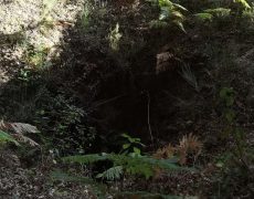 IMG_20200828_082851
