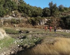 IMG_20200828_090613