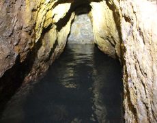 IMG_3152
