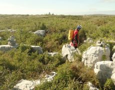 Figura 6 - Zona de entrada Algar Alecrineiros Norte