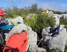 Figura 5 - Entrada do Algar Alecrineiros Norte (Foto: Teresa Cardoso – GEM)