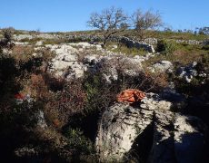 Figura 1 - Zona de prospeção, subindo o vale cego (Foto: Samuel Lopes - GEM/WIND)