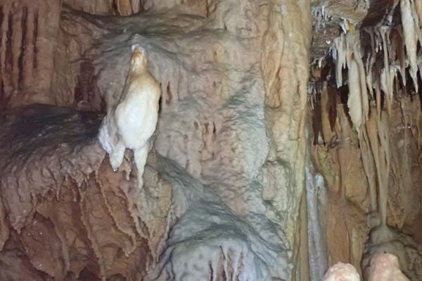 Figura 24 – Formação "Galo de Santo António" (Foto: Filipe Castro - GEM)