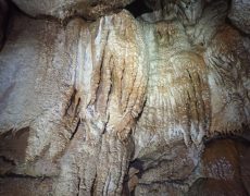 PB070131s