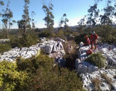 Figura 2 - Algar Alecrineiros I (Foto: António Afonso)