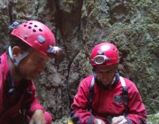 P_20171117_124326_BF