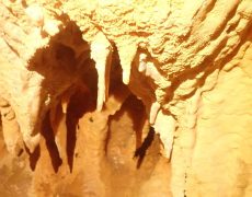 WhatsApp Image 2020-09-09 at 18.52.31 (1)