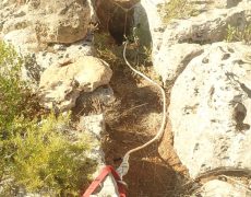 WhatsApp Image 2020-09-09 at 18.52.31 (2)