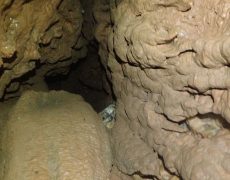 WhatsApp Image 2020-09-09 at 18.52.36