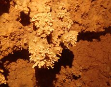 WhatsApp Image 2020-09-09 at 18.52.37