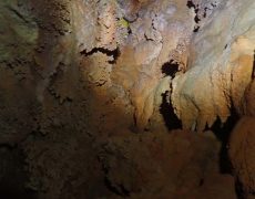 WhatsApp Image 2020-09-09 at 18.53.20 (1)