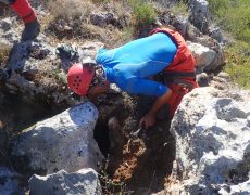 WhatsApp Image 2020-09-09 at 18.54.03