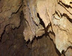 WhatsApp Image 2020-10-24 at 22.25.53 (2)