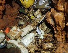 WhatsApp Image 2020-10-24 at 22.25.55