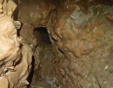 WhatsApp Image 2020-10-24 at 22.25.59