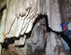 WhatsApp Image 2020-12-16 at 00.03.04 (5)