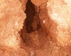 WhatsApp Image 2020-12-16 at 00.04.29 (2)