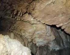 WhatsApp Image 2020-12-16 at 00.04.29 (5)