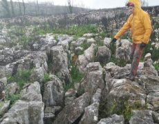 WhatsApp-Image-2021-04-10-at-18.49.12-2