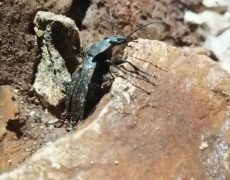 WhatsApp-Image-2021-04-10-at-18.49.13-2